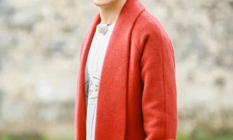 Lâm Chí Dĩnh xuất viện