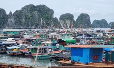 Hải Phòng, Quảng Ninh kêu gọi, hỗ trợ tàu thuyền vào nơi tránh trú bão số 3
