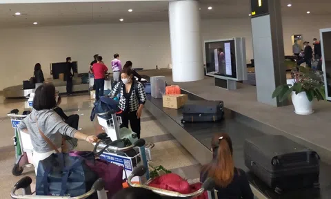 Các hãng hàng không dừng kiểm tra thẻ hành lý ký gửi tại lối ra