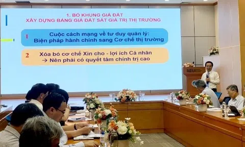 Góp ý dự thảo Luật Đất đai: Nợ thuế hơn 50% giá trị đất phải bị thu hồi