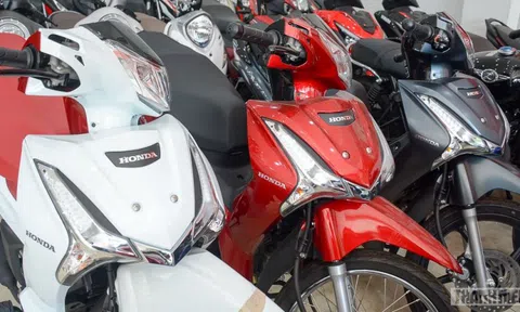6 mẫu xe máy Thái Lan nhập khẩu về Việt Nam ‘đội’ giá hàng chục triệu đồng