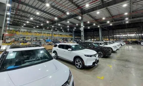 73.000 khách cọc mua xe VinFast VF8 và VF9 có nên lo lắng với chính sách mới?