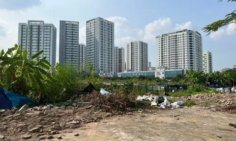 "Nhồi" 429 chung cư vào 1 quận