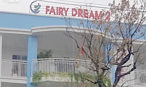 Phẫn nộ cô giáo mầm non ở Thái Bình lấy gai bưởi châm vào lưng, tay học sinh