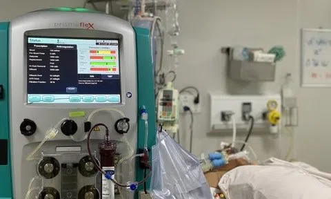 1.500 túi dịch điều trị sốc sốt xuất huyết về Việt Nam