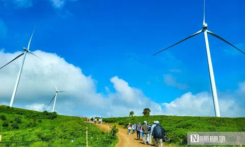 Lâm Đồng: Phê duyệt 2 dự án điện gió với tổng vốn đầu tư gần 4.400 tỷ đồng