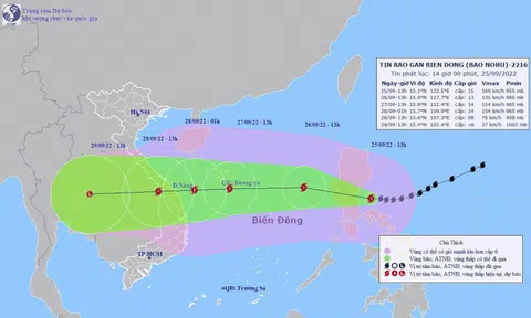 Bộ GTVT: Không cho phép máy bay cất hạ cánh khi có tình huống xấu của thời tiết trong khu vực bị ảnh hưởng của bão NoRu