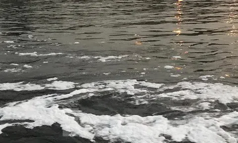 Hà Nội: Bất ngờ kênh dẫn nước Yên Sở bọt trắng như băng đổ ra sông Hồng