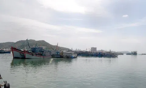 Phòng chống bão Noru: Khánh Hòa thực hiện cấm biển từ 14h ngày 27/9