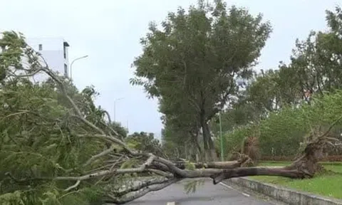 Siêu bão Noru đổ bộ: Hàng trăm ngôi nhà bị tốc mái, cây đổ la liệt, 4 người bị thương