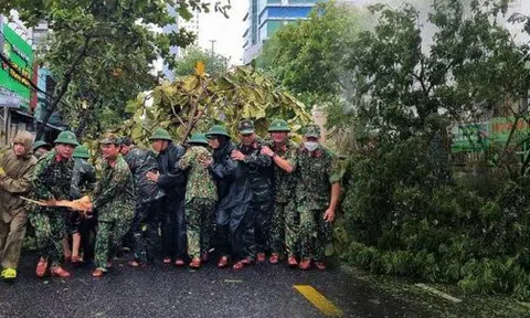 Hình ảnh thiệt hại ban đầu do bão Noru gây ra tại Đà Nẵng