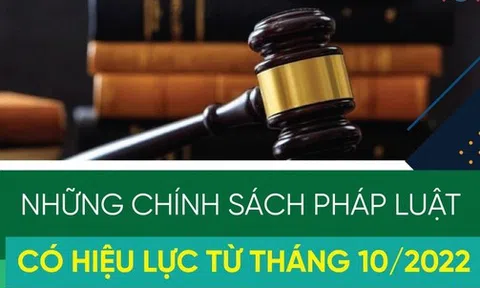 Những chính sách pháp luật có hiệu lực từ tháng 10/2022
