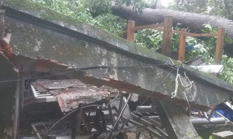 Những siêu bão từng đổ bộ vào Việt Nam