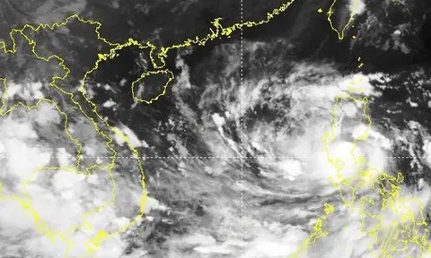 Cảnh báo bão Noru chỉ sau cấp thảm họa, nhiều tỉnh miền Trung báo động đỏ