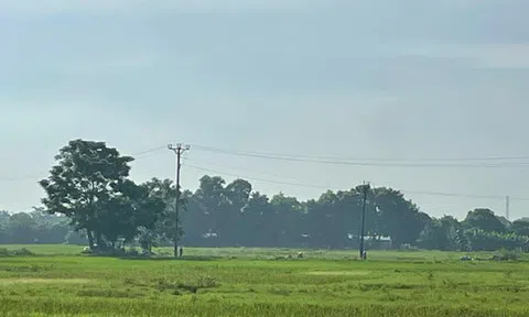 Mạo danh cán bộ, chỉ bừa lô đất trống để lừa tiền đặt cọc