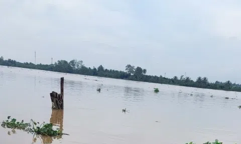 Nguyên quyền Giám đốc Bệnh viện Phụ sản Tiền Giang nhảy cầu tự tử