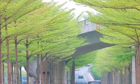 Hà Nội đưa Gia Lâm, Đông Anh lên quận vào năm 2023