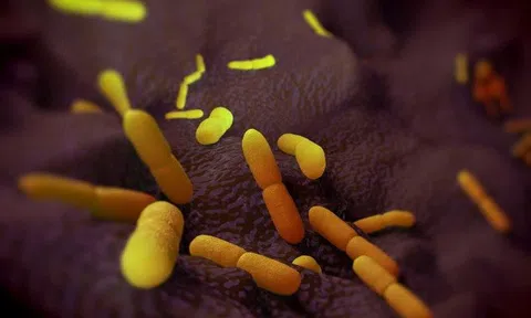 Con người tiến hóa hơn sau 'cái chết đen'