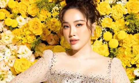 Bảo Thy hạn chế hoạt động nghệ thuật vì con