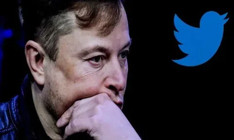 Twitter tạm dừng dịch vụ tích xanh xác thực tài khoản