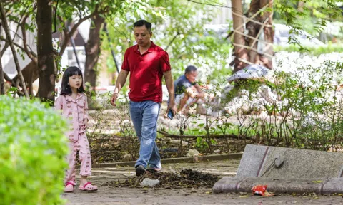 Vườn hoa 52 tỷ đồng ở Hà Nội xuống cấp trầm trọng, thành nơi đổ rác