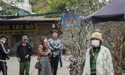 Hoa rừng xuống phố, người dân thủ đô chi hàng triệu đồng để chơi Tết sớm