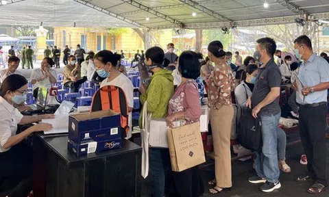 Bị hại vụ Alibaba phơi bày sự thật bị dắt vào... rừng!