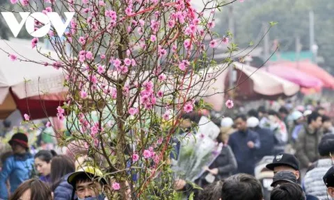 Học sinh Hà Nội được nghỉ Tết Nguyên đán Quý Mão 2023 bao nhiêu ngày?