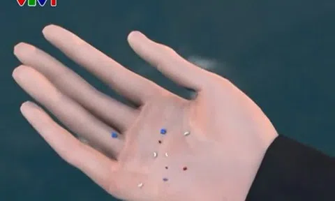 "Nước mắt nàng tiên cá" trên các bãi biển