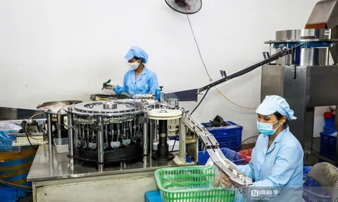 Quỹ thất nghiệp đã chi trả gần 32 nghìn tỷ đồng cho người lao động