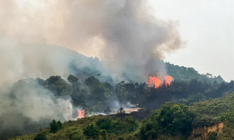 Cháy lớn thiêu rụi nhiều ha rừng