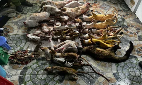 2 phụ nữ gom động vật hoang dã bán cho khách nhậu Tết