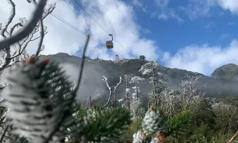 Không khí lạnh tăng cường, miền Bắc tiếp tục xuất hiện băng giá