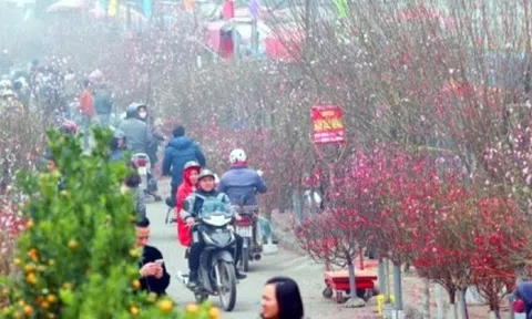 Dịp Tết Nguyên đán, nhiệt độ miền Bắc cao hơn trung bình nhiều năm