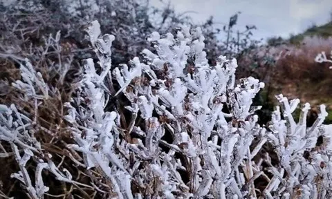 Không khí lạnh tăng cường gây rét đậm rét hại ở miền Bắc, mưa to ở miền Trung