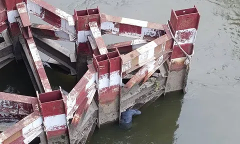 Hành động lạ của nam thanh niên sau khi "rơi" xuống sông Sài Gòn