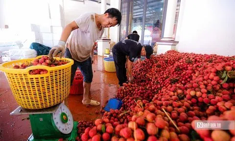 Bộ NN-PTNT sẽ chủ trì tháo gỡ rào cản trong xuất, nhập khẩu nông sản