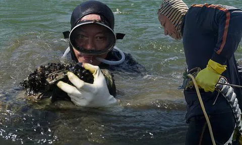 Ảnh: Những ngư dân cột hơn 10kg chì vào người, lặn xuống đáy sông Hàn mưu sinh ngày giá rét