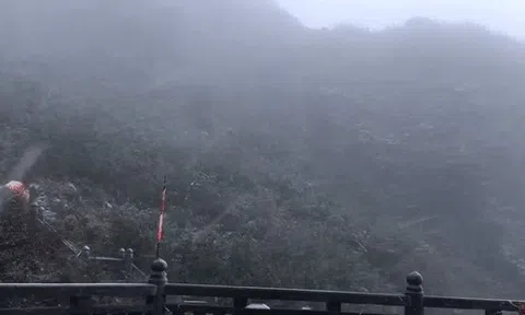 Mưa tuyết xuất hiện trên đỉnh Fansipan