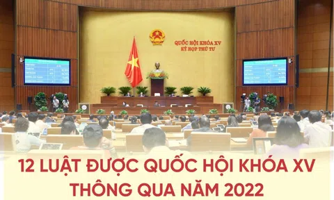 12 luật được Quốc hội khóa XV thông qua năm 2022