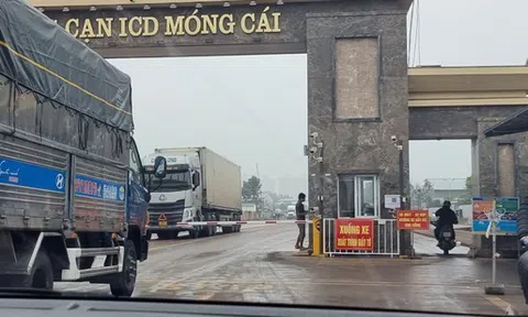 Dừng xét nghiệm COVID-19 với người, hàng hóa tại các cửa khẩu ở Móng Cái từ 8-1