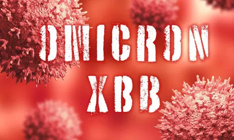Biến thể phụ XBB của Omicron mới được phát hiện tại TP HCM có nguy hiểm?