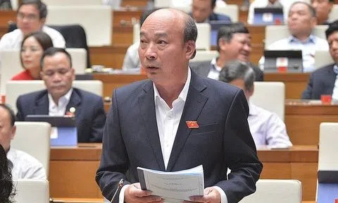 Hai ông Phạm Bình Minh và Lê Minh Chuẩn thôi làm đại biểu Quốc hội