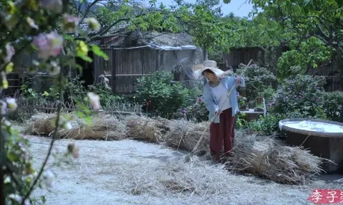 Lý Tử Thất chưa muốn tái xuất