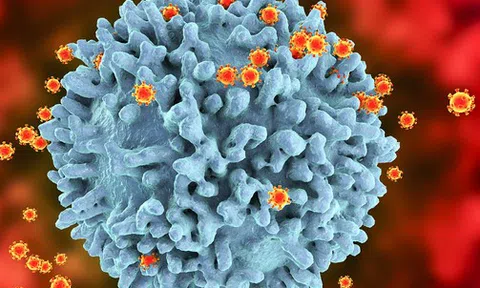 Ghi nhận hơn 500 biến thể SARS-CoV-2, Bộ Y tế khuyến cáo phòng COVID-19