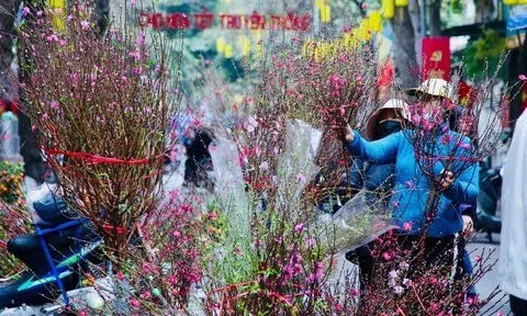 Tăng cường công tác phòng, chống dịch dịp Tết Nguyên đán và mùa lễ hội năm 2023