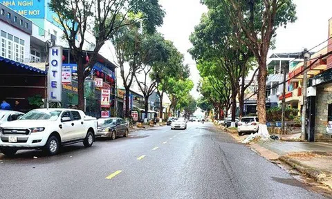 Một giám đốc công ty tư nhân trình báo bị chặn xe, cướp 4,9 tỷ đồng