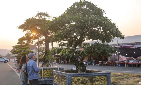 Miền Bắc sắp tăng nhiệt mạnh