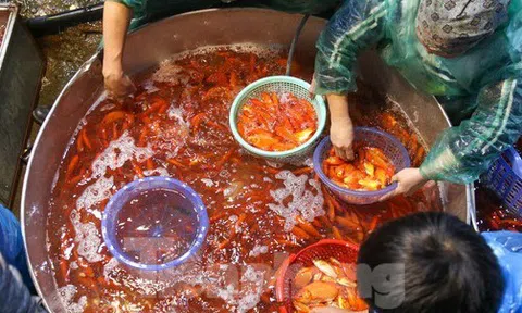 Chợ cá Yên Sở rực sắc đỏ, nhộn nhịp trước ngày cúng ông Công - ông Táo