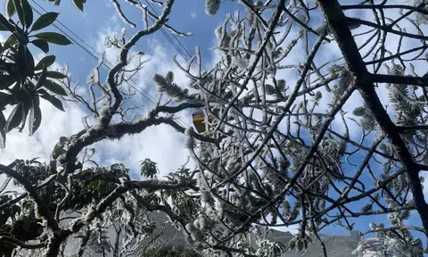 Bắc Bộ đón rét hại, có khả năng xảy ra mưa tuyết và băng giá